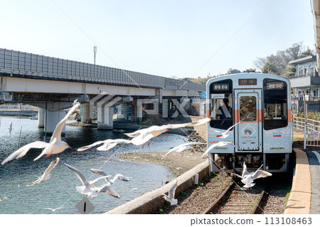 Seagull and Train Tenryu Hamanako Line Hamanako Sakume Station Seagull and Train Tenryu Hamanako Line Hamanako Sakume Station 113108463