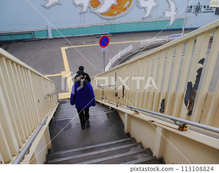 孩子們過人行天橋(後面視圖) 孩子們過人行天橋(後面視圖) 113108824