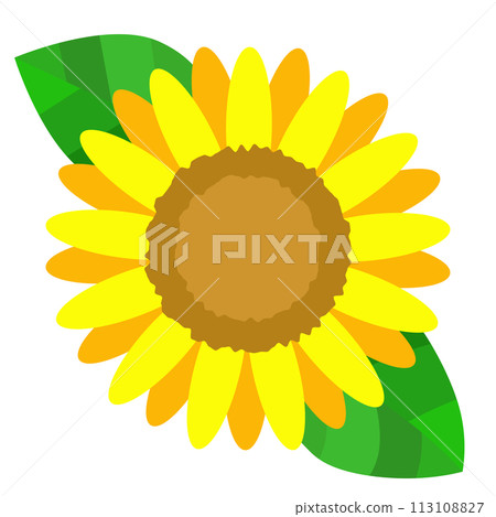 Simple original sunflower illustration 113108827