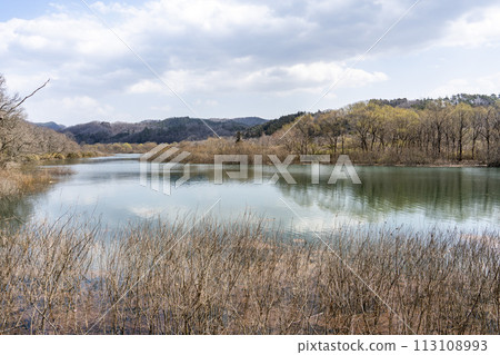 Kamafusa Dam seen from National Michinoku Lakeside Park in early spring, Kawasaki Town, Miyagi Prefecture 113108993