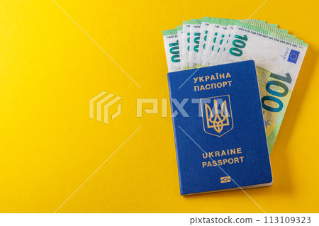 ukrainian passport and 100 euro banknotes 113109323
