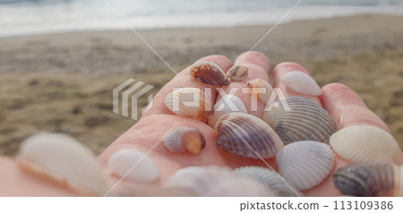 hand with seashells on the background of the sea hand with seashells on the background of the sea 113109386