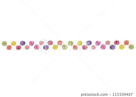 Illustration S of large carnations lined up in two tiers drawn with water-based pen and transparent watercolor paint 113109487