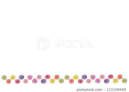 Illustration of two rows of large carnations drawn with water-based pen and transparent watercolor paint (lower row) 113109489