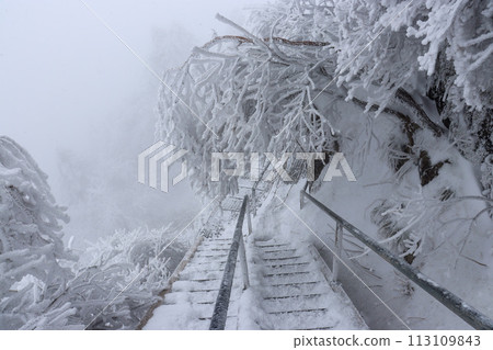 Mt. Ishizuchi mountain trail in winter 113109843