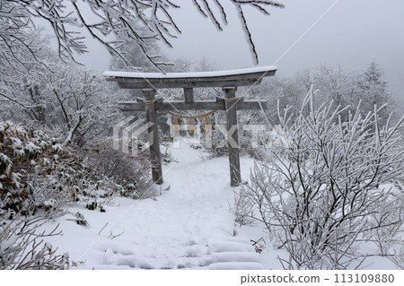 冬天的石錘山登山道 冬天的石錘山登山道 113109880
