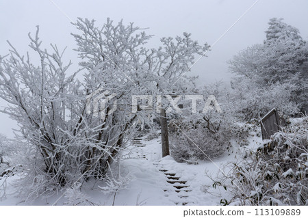 Mt. Ishizuchi mountain trail in winter 113109889