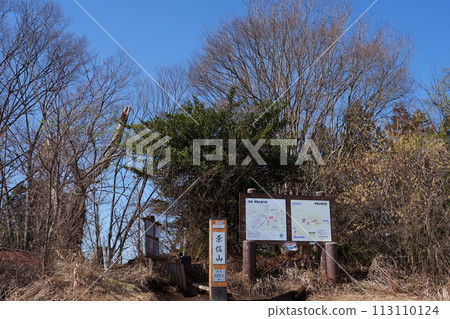 早春的京神山 113110124