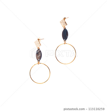 Long jewelry earring isolated on white background Long jewelry earring isolated on white background 113110259
