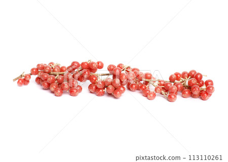 Red Buffaloberry or Soapberry on white background Red Buffaloberry or Soapberry on white background 113110261
