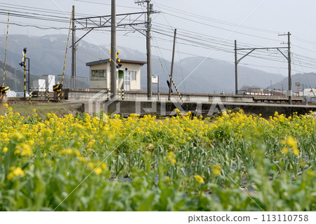 Haruno Station 113110758