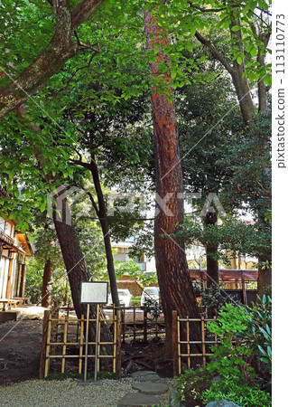 只園寺（調布） 113110773