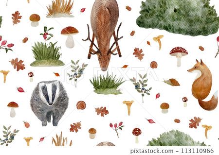 Autumn forest wild plants and animals watercolor seamless pattern isolated on white. 113110966