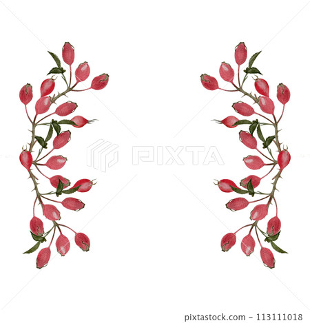 Rose hip sprig watercolor vertical frame isolated on white 113111018