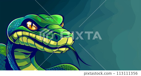 Venomous snake isolated on the copy space background 113111356