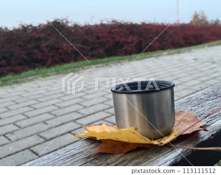 Metal mug of coffee on a bench in the park with autumn leaves with the view on the city 113111512