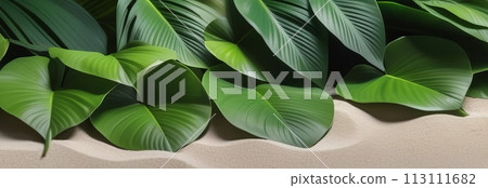 Close-up of vibrant green tropical leaves against sandy beige Close-up of vibrant green tropical leaves against sandy beige 113111682
