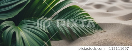A palm leaf arches gracefully over smooth dune sand 113111697