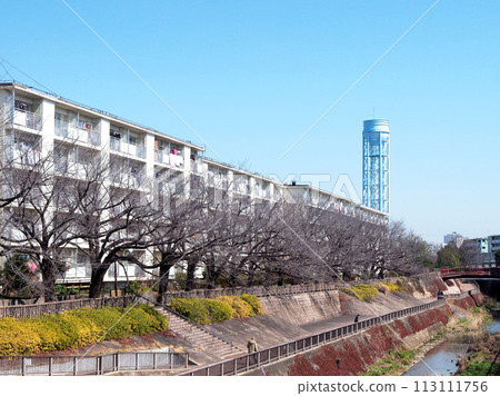 昭和住宅區 東營住宅區 昭和住宅區 東營住宅區 113111756