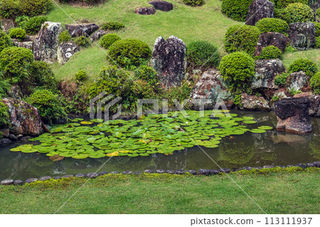 靜岡龍炭寺庭園 113111937