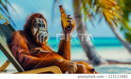 Banner advertising vacation at a resort, portrait of an orangutan in a sun lounger on the beach holding a bottle of beer, vacation on a tropical island, bright sunny day 113111985