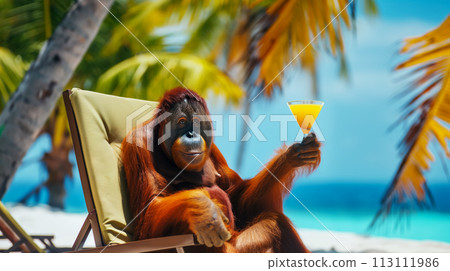 portrait of an orangutan in a sun lounger on the beach holding a glass of cocktail, vacation on a tropical island, bright sunny day 113111986