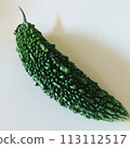Bitter melon on white background 113112517