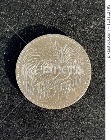 This rare 2 mark silver coin featuring a bird of paradise was used in New Guinea, which was a German territory before the war. 113112795