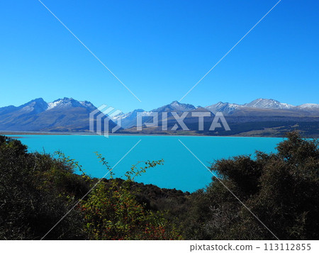 晴朗的天空和普卡基湖 晴朗的天空和普卡基湖 113112855