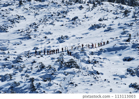 Kita Yatsugatake Tsuboniwa Nature Park in winter, queue of climbers 113113003