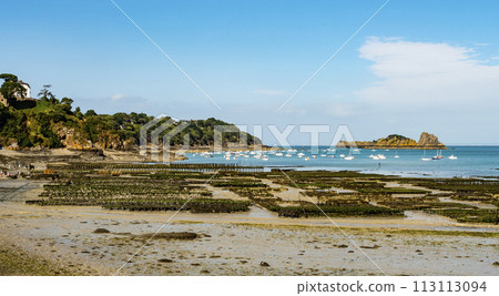Panoramic view of traditional oyster farm at low tide in a bright sunny day, Cancale coast, Brittany, France 113113094