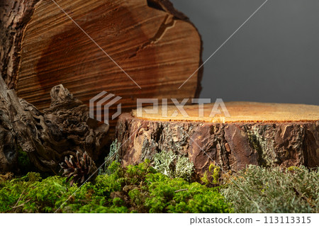 Composition with natural wood, moss and lichen for advertising eco products. 113113315