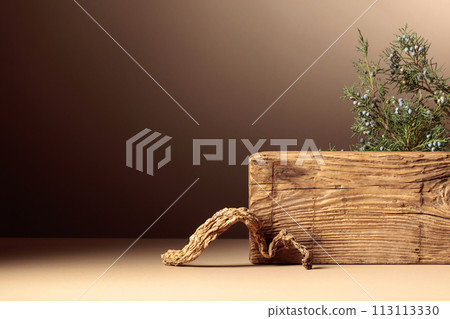 Abstract composition of old wooden plank and juniper branch. Abstract composition of old wooden plank and juniper branch. 113113330