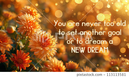 Inspirational quote about not too old with beautiful flower background. Inspirational quote about not too old with beautiful flower background. 113113581