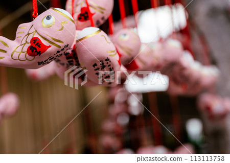 日本兵庫縣神田市：北野益心館北野益心館街。紅日粉，紅魚有趣， 113113758