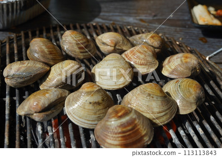 Fresh clams are grilled on a brazier and eaten. Fresh clams are grilled on a brazier and eaten. 113113843