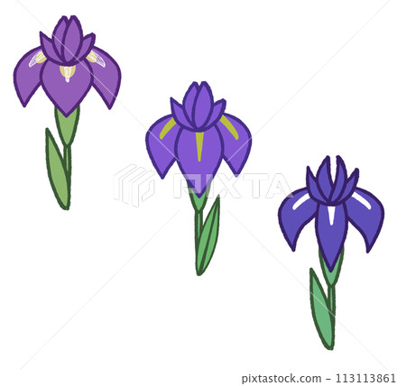 Simple hand-drawn irises, irises, and iris flowers 113113861