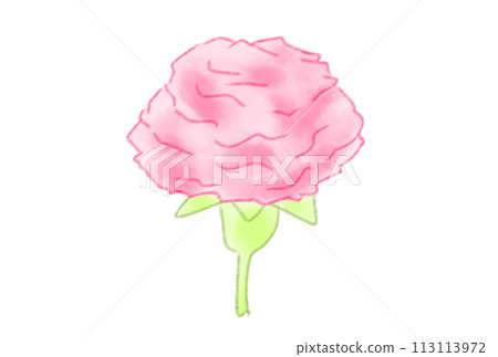 cute mother's day carnation 113113972