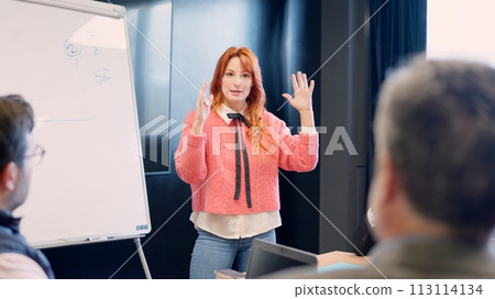 Woman clarifying an idea during a presentation in a meeting Woman clarifying an idea during a presentation in a meeting 113114134
