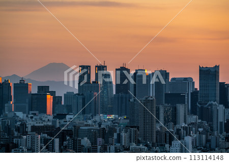 [Tokyo] Shinjuku subcenter at dusk 113114148