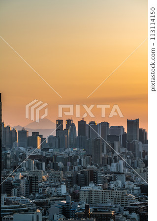 [Tokyo] Shinjuku subcenter at dusk 113114150