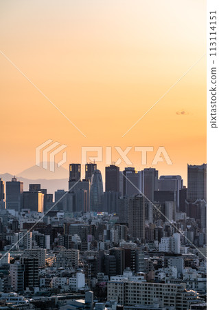 [Tokyo] Shinjuku subcenter at dusk 113114151