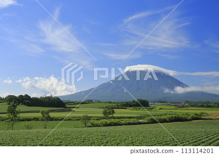 Patchwork fields, Mt. Yotei, and cirrus clouds seen from Takami, Kutchan Town, Hokkaido Patchwork fields, Mt. Yotei, and cirrus clouds seen from Takami, Kutchan Town, Hokkaido 113114201