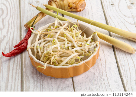 Asian cuisine Mash bean sprout 113114244