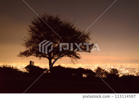 從我們的廣場看到的鳴川公園夜景 113114507