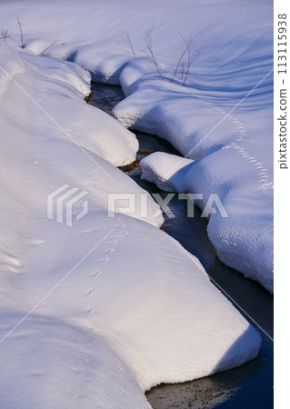 冬天流經有島紀念公園雪原的小溪 冬天流經有島紀念公園雪原的小溪 113115938