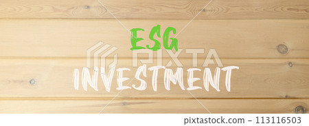 ESG environmental social governance investment symbol. Concept words ESG investment on beautiful wooden wall. Beautiful wooden wall background. Business ESG investment concept. Copy space. 113116503