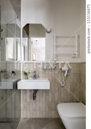 A bathroom with plumbing fixtures such as a sink, mirror, and toilet A bathroom with plumbing fixtures such as a sink, mirror, and toilet 113116875