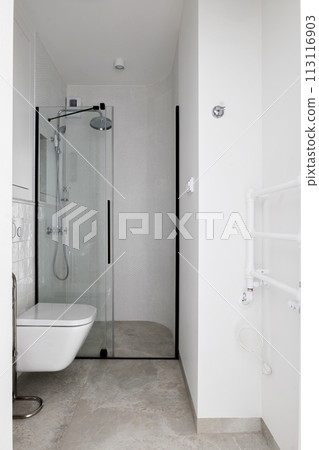 a bathroom with a toilet and a walk in shower a bathroom with a toilet and a walk in shower 113116903