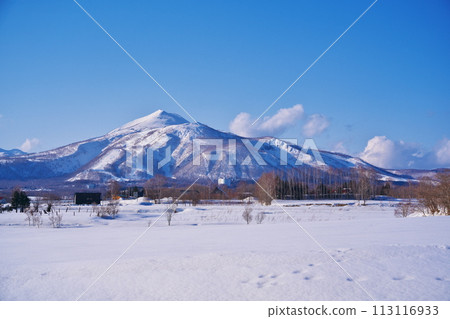 冬季從有島紀念公園欣賞新雪谷安努普利 (Niseko Annupuri) 的景色 113116933